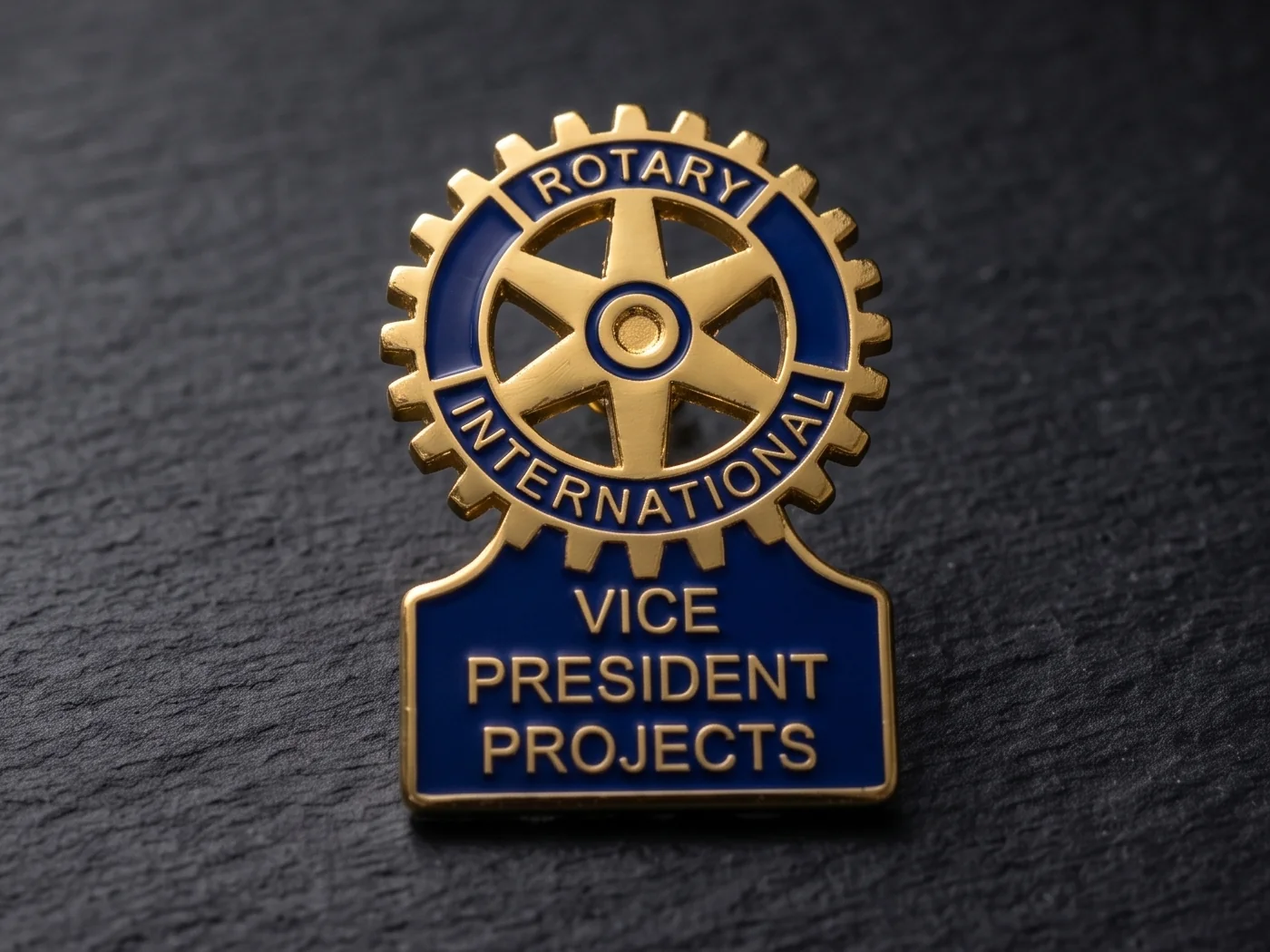 Vice President Projects Pin